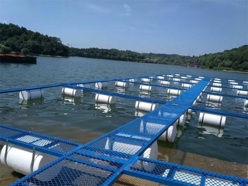 cage fish farming cage fish farming