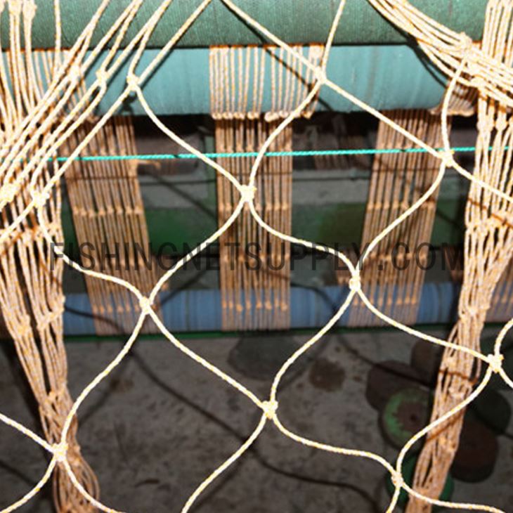 Seaweed Net